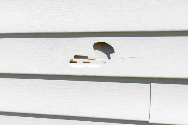 Best Siding Removal and Disposal  in Brackenridge, PA